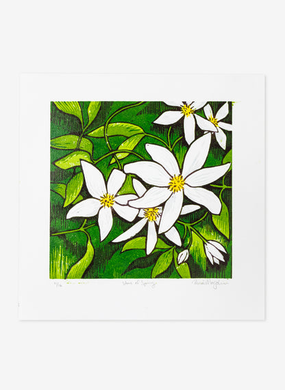 Stars of Spring (Colour)  -  Wood Cut Print