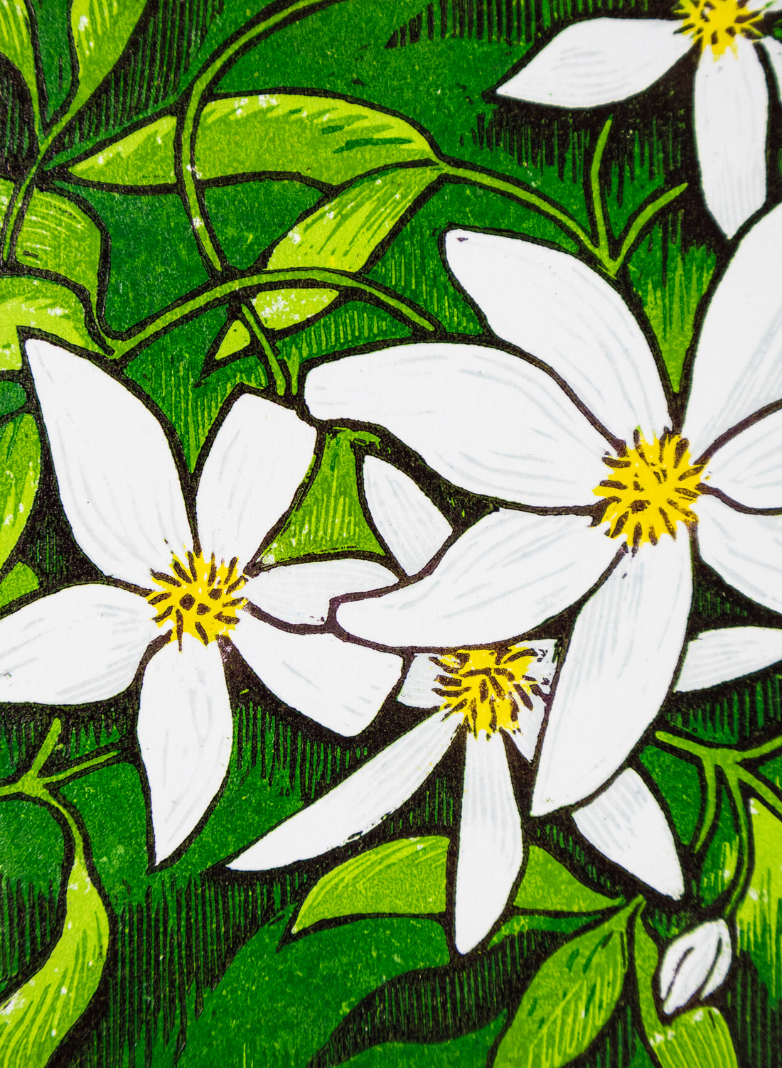 Stars of Spring (Colour)  -  Wood Cut Print