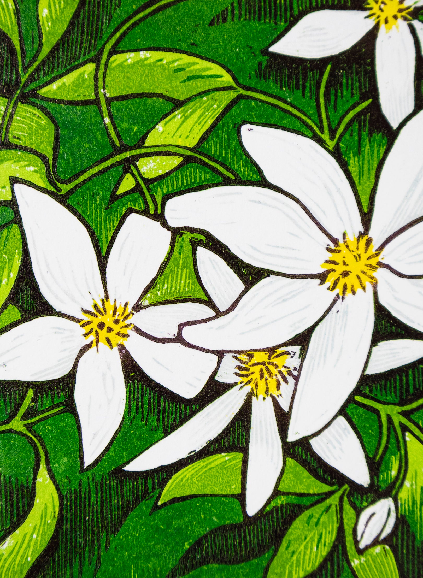 Stars of Spring (Colour)  -  Wood Cut Print