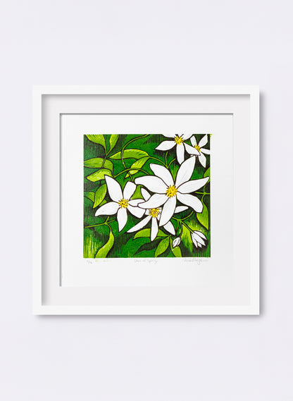 Stars of Spring (Colour)  -  Wood Cut Print