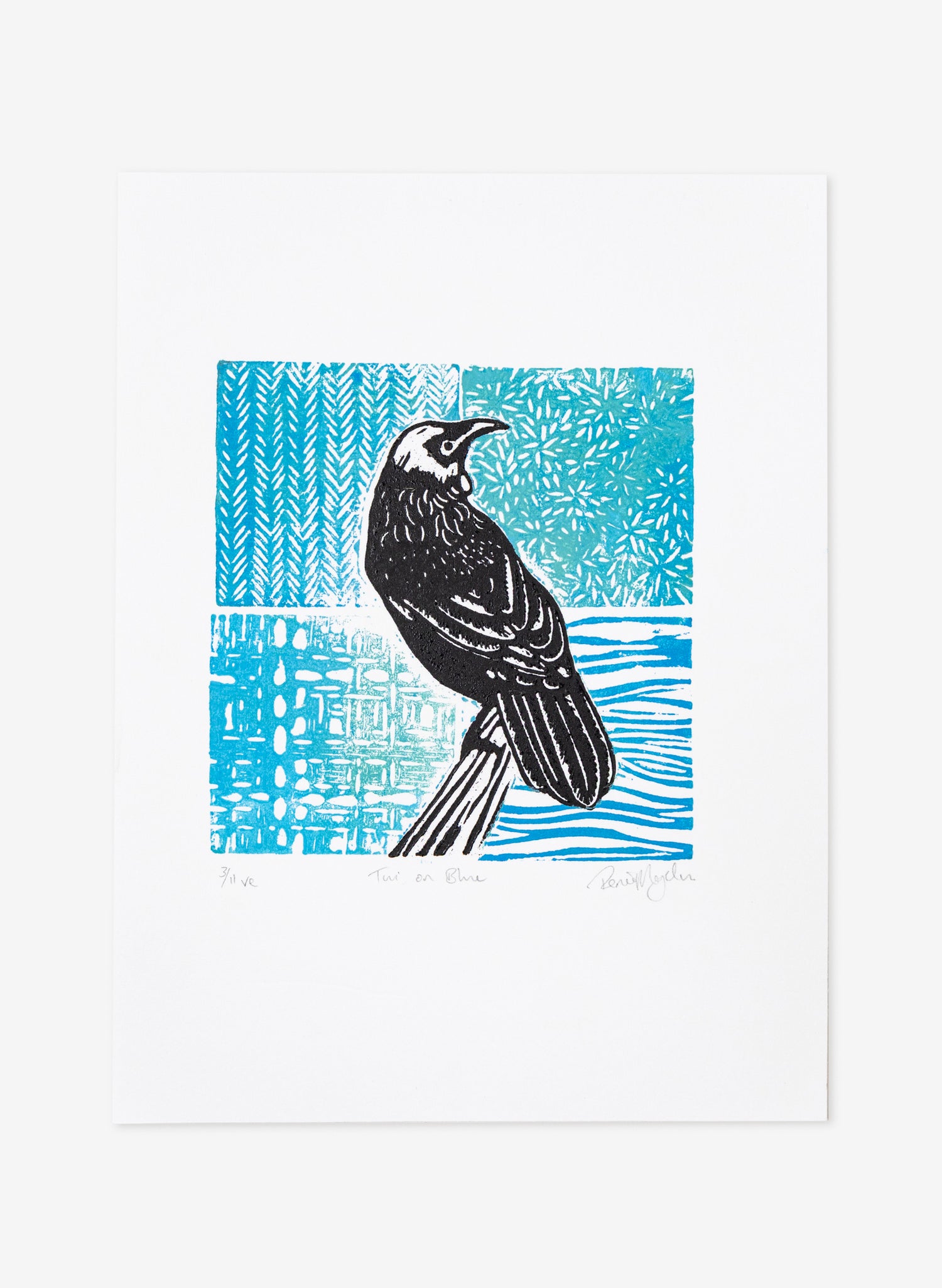 Tūī On Blue  3/11