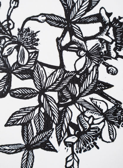 Feijoa -  Wood Cut Print