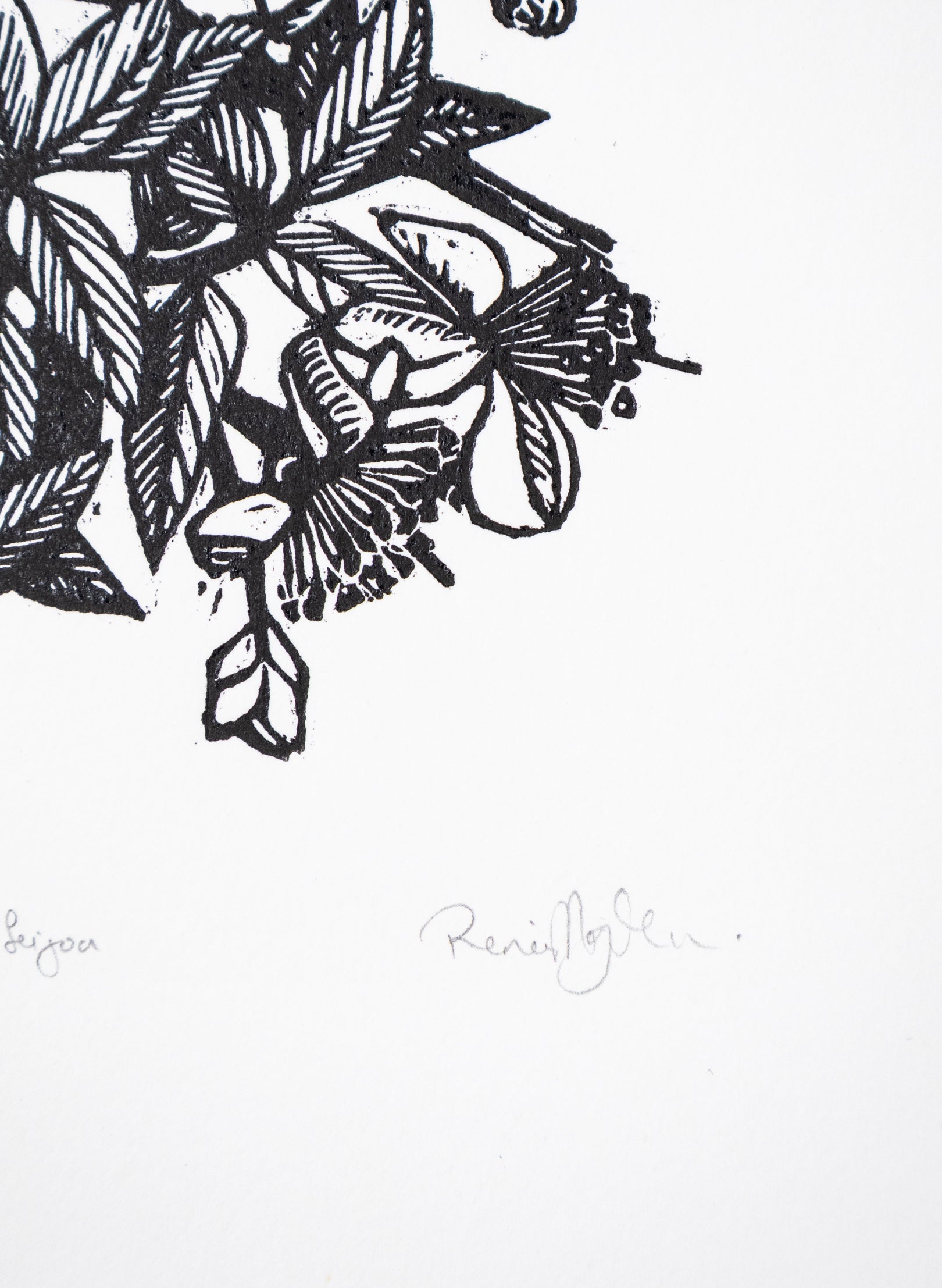 Feijoa -  Wood Cut Print