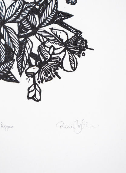 Feijoa -  Wood Cut Print