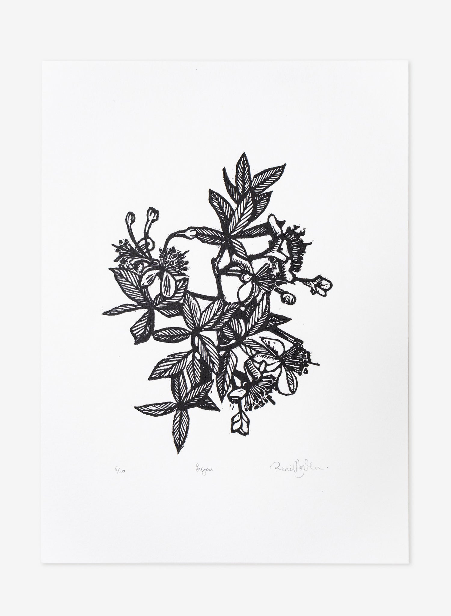 Feijoa -  Wood Cut Print