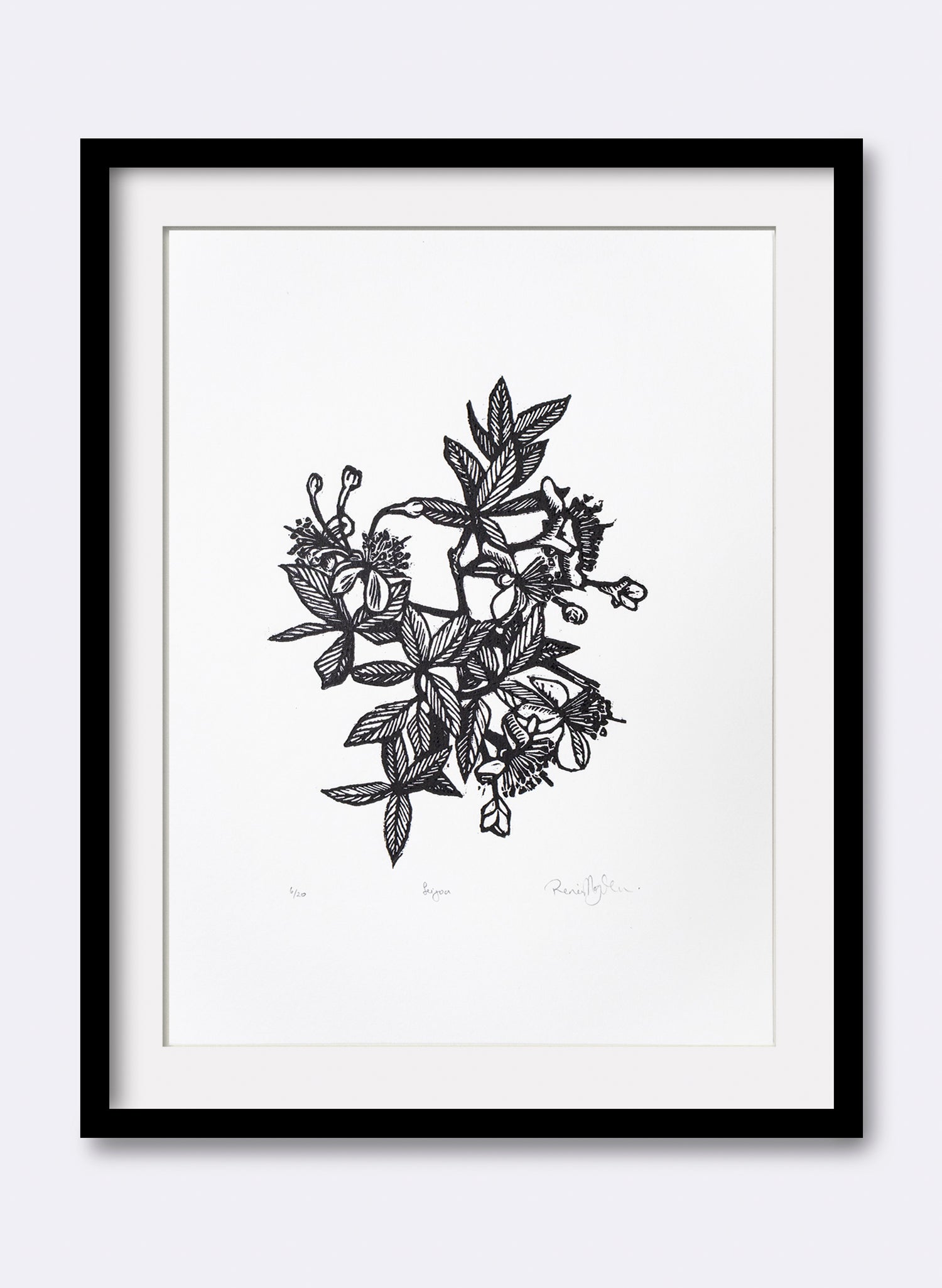 Feijoa -  Wood Cut Print