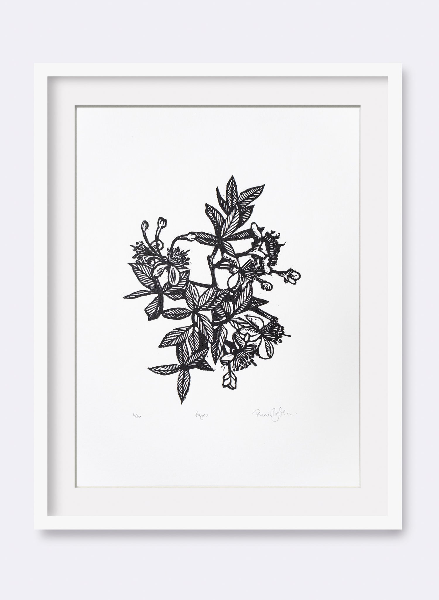 Feijoa -  Wood Cut Print