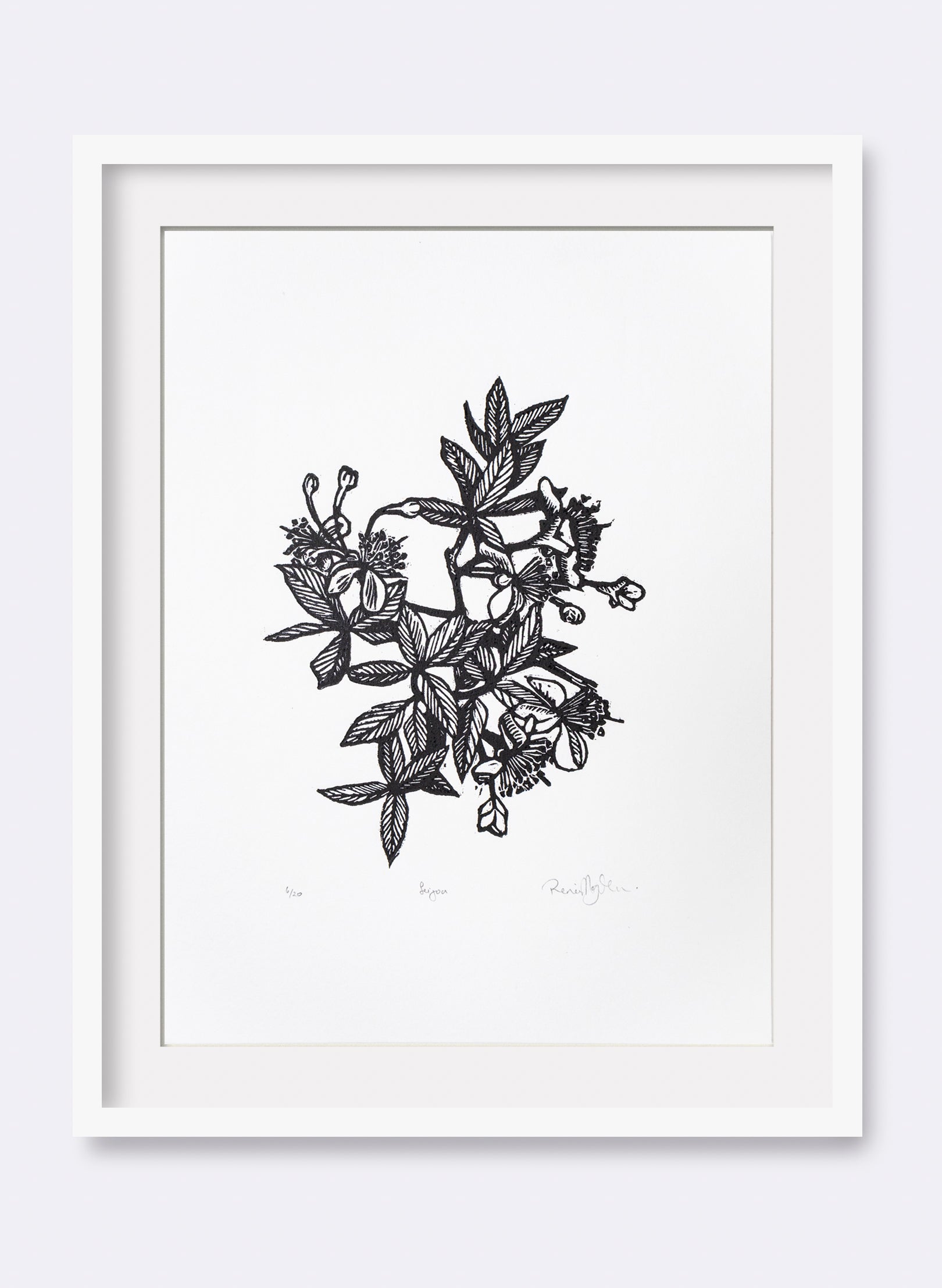Feijoa -  Wood Cut Print
