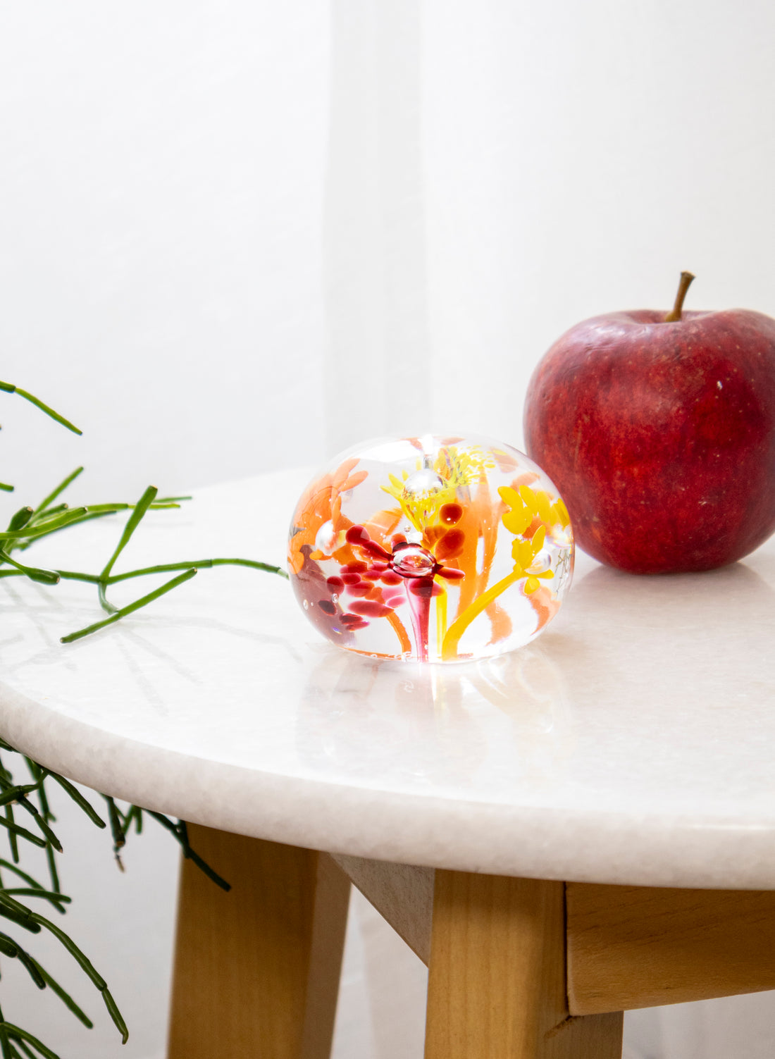 Snow Globes - Paperweight