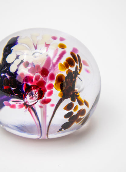Snow Globes - Paperweight