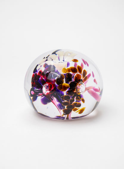 Snow Globes - Paperweight