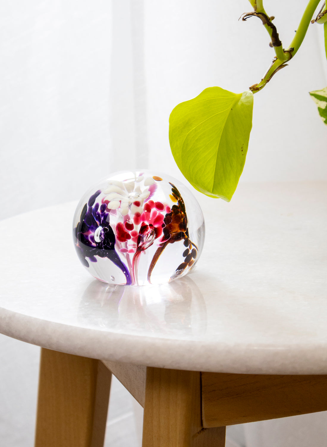 Snow Globes - Paperweight