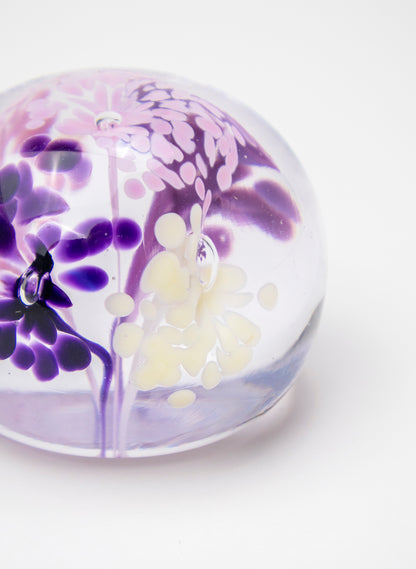 Snow Globes - Paperweight