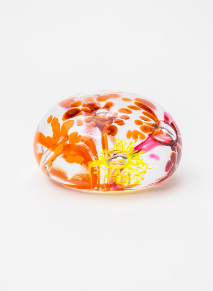 Snow Globes - Paperweight