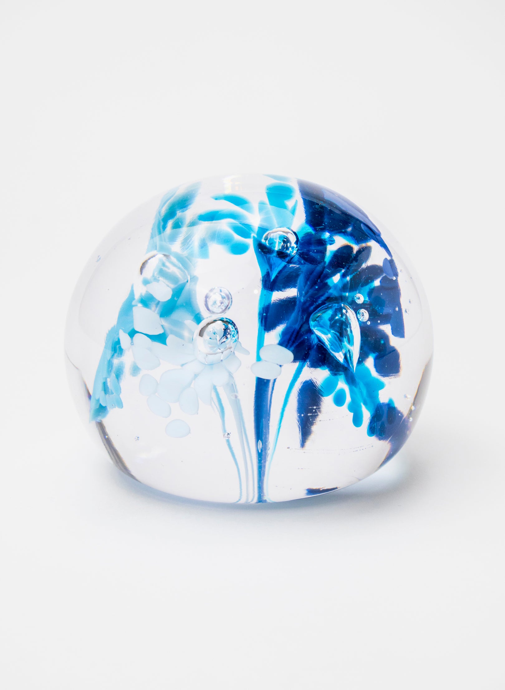 Snow Globes - Paperweight