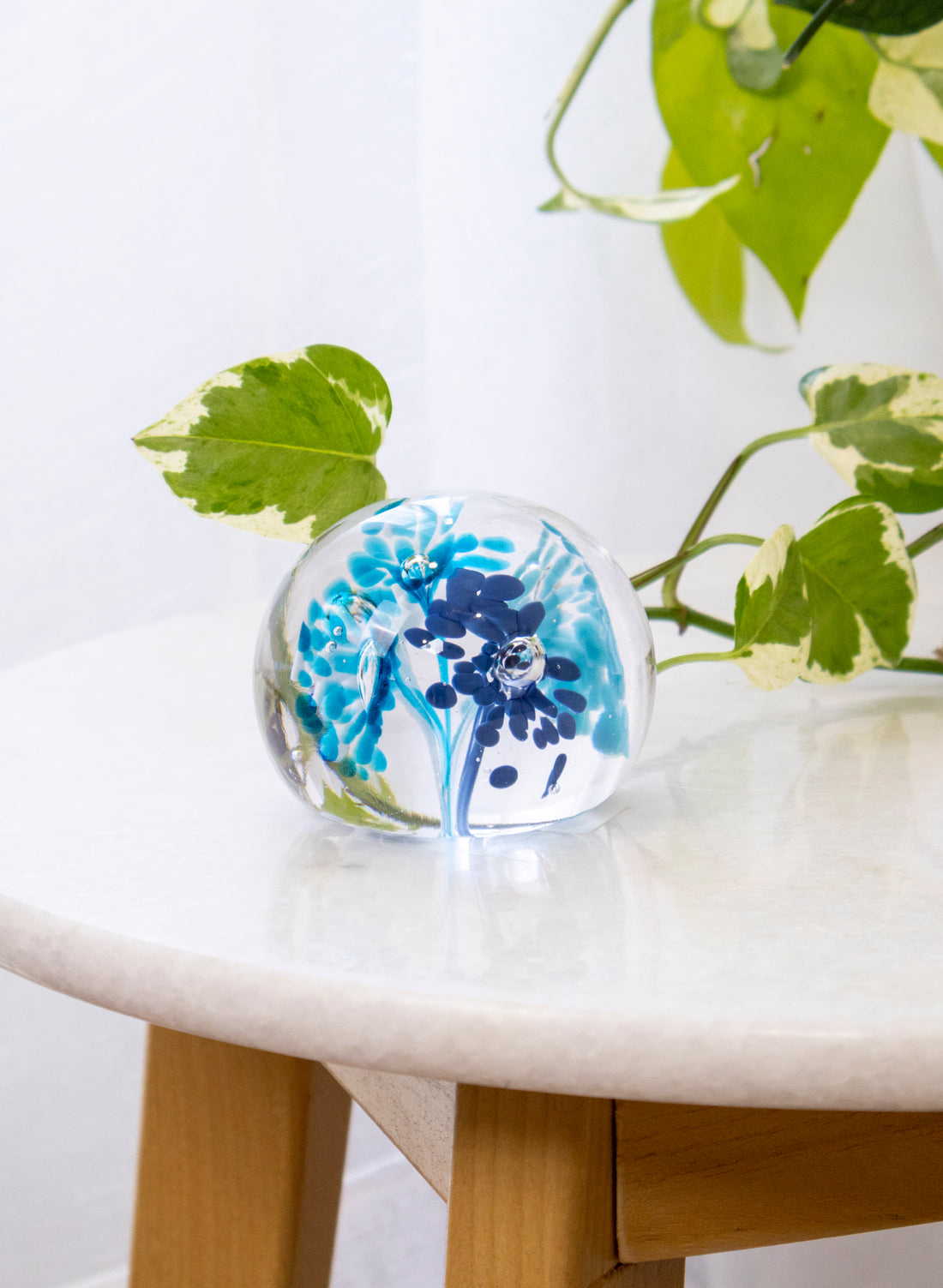Snow Globes - Paperweight