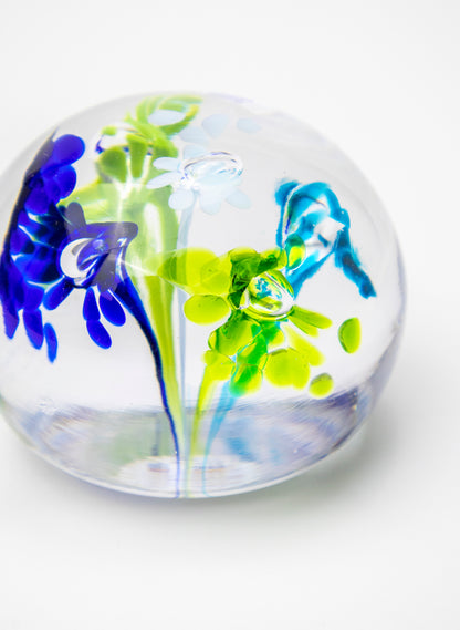 Snow Globes - Paperweight