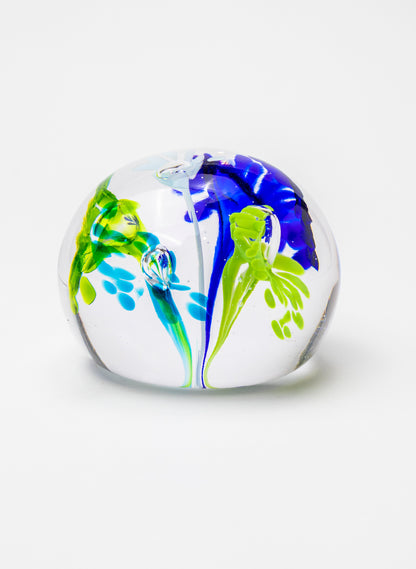 Snow Globes - Paperweight