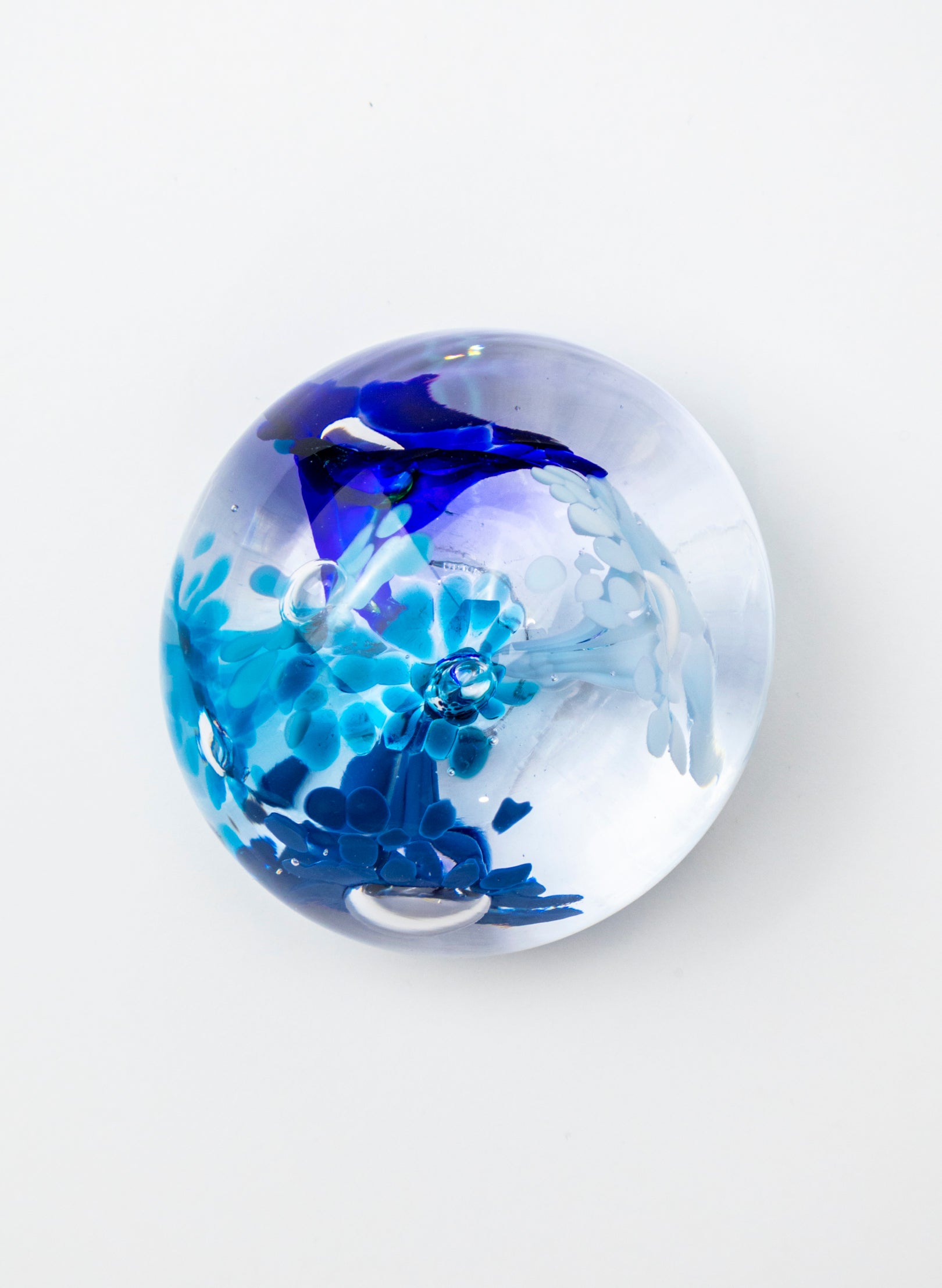 Snow Globes - Paperweight