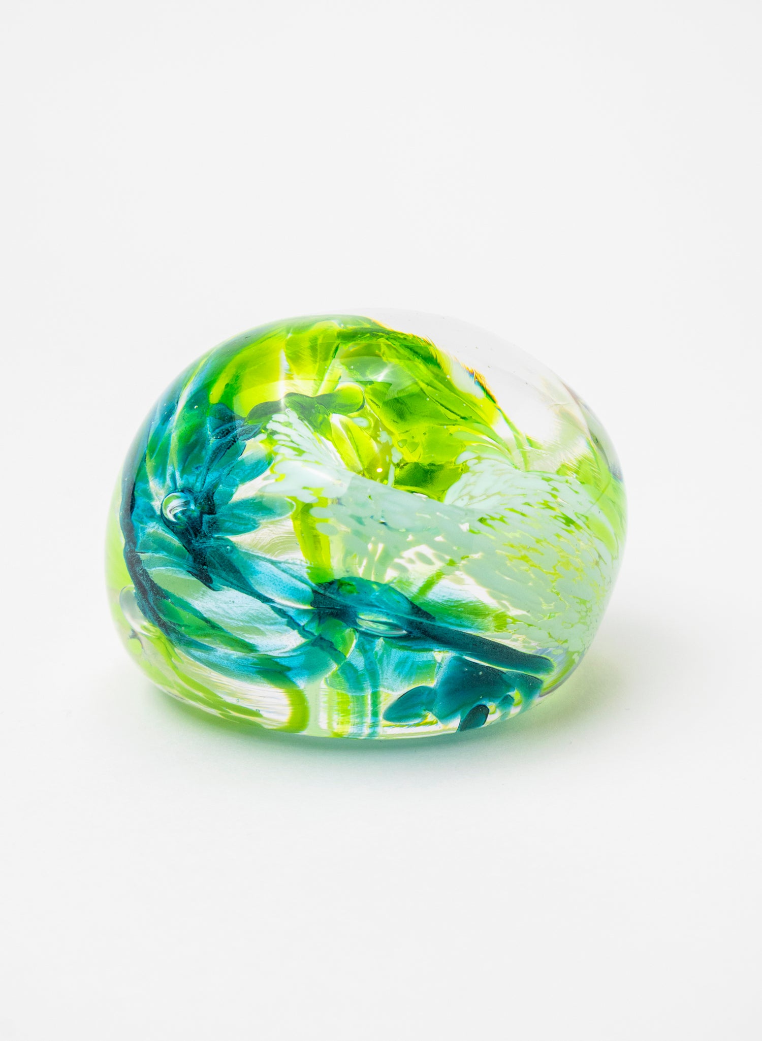 Snow Globes - Paperweight