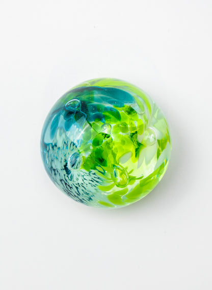 Snow Globes - Paperweight