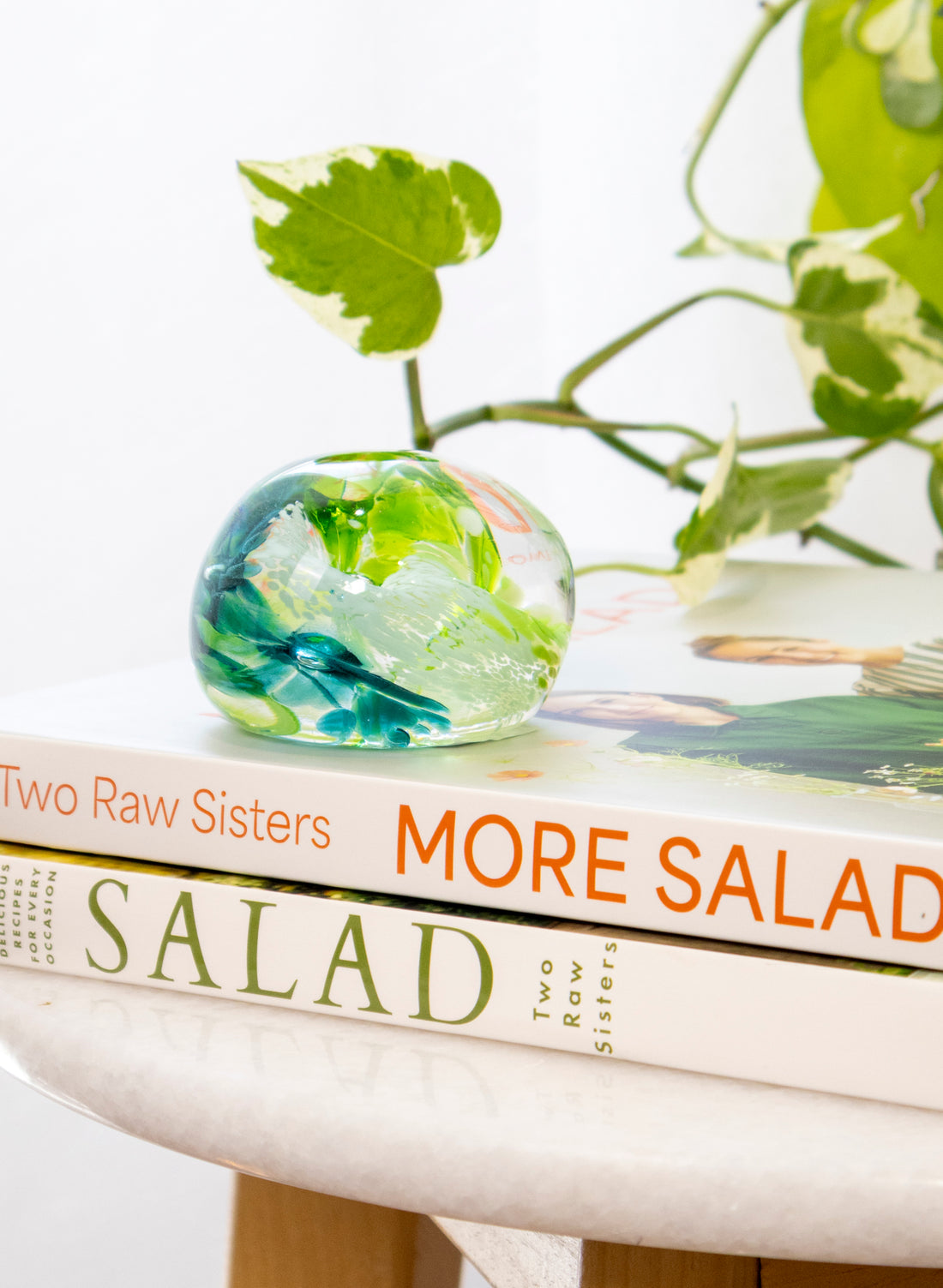 Snow Globes - Paperweight