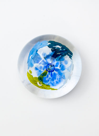 Snow Globes - Paperweight