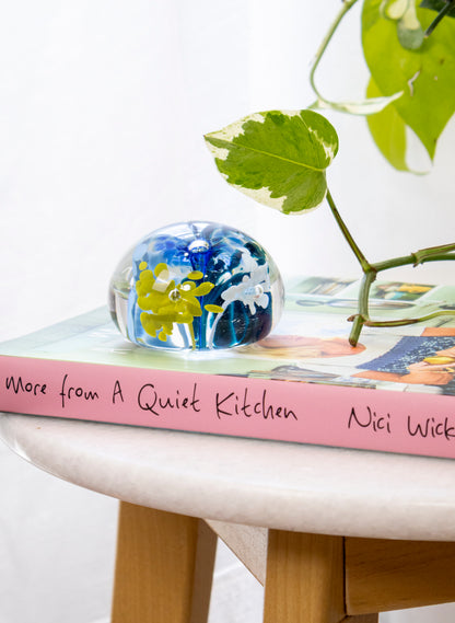 Snow Globes - Paperweight