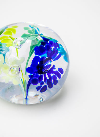 Snow Globes - Paperweight