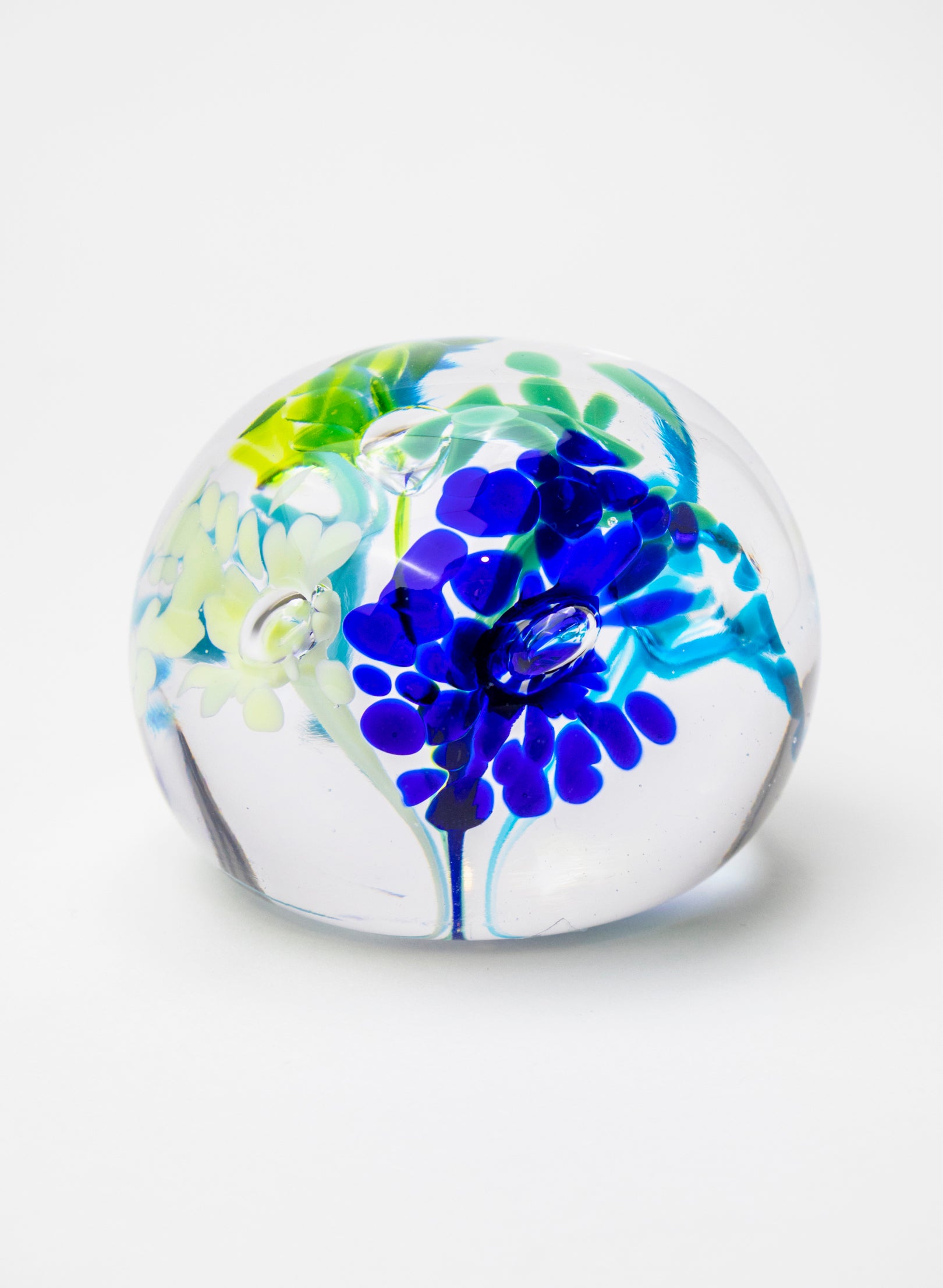Snow Globes - Paperweight