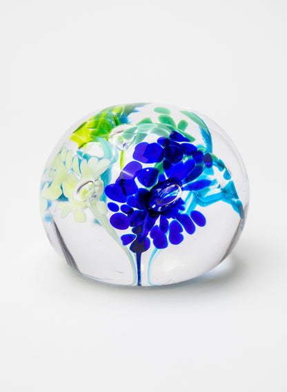 Snow Globes - Paperweight