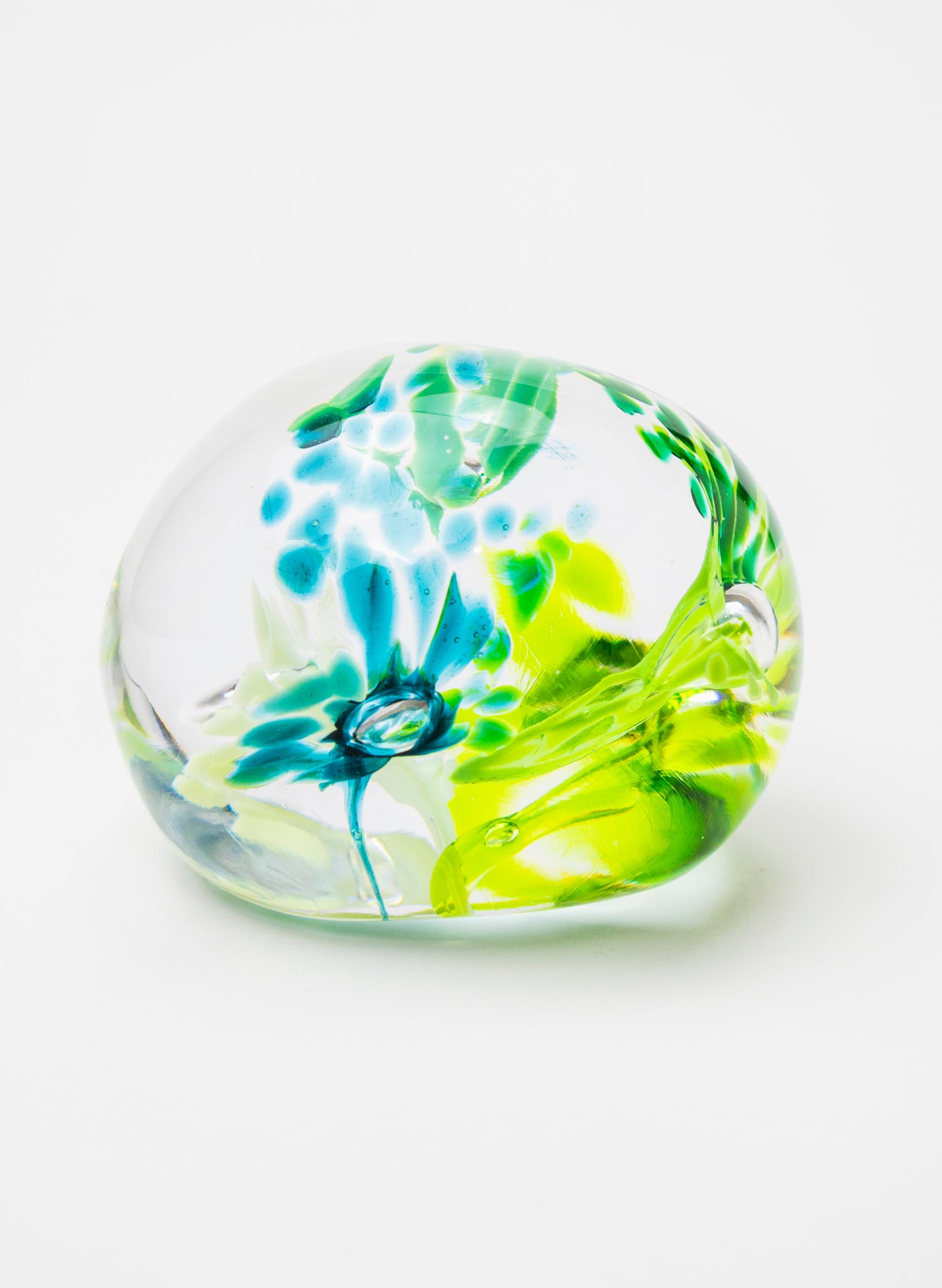 Snow Globes - Paperweight