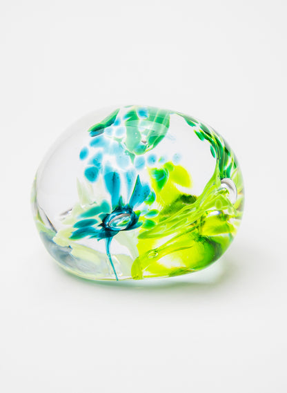 Snow Globes - Paperweight