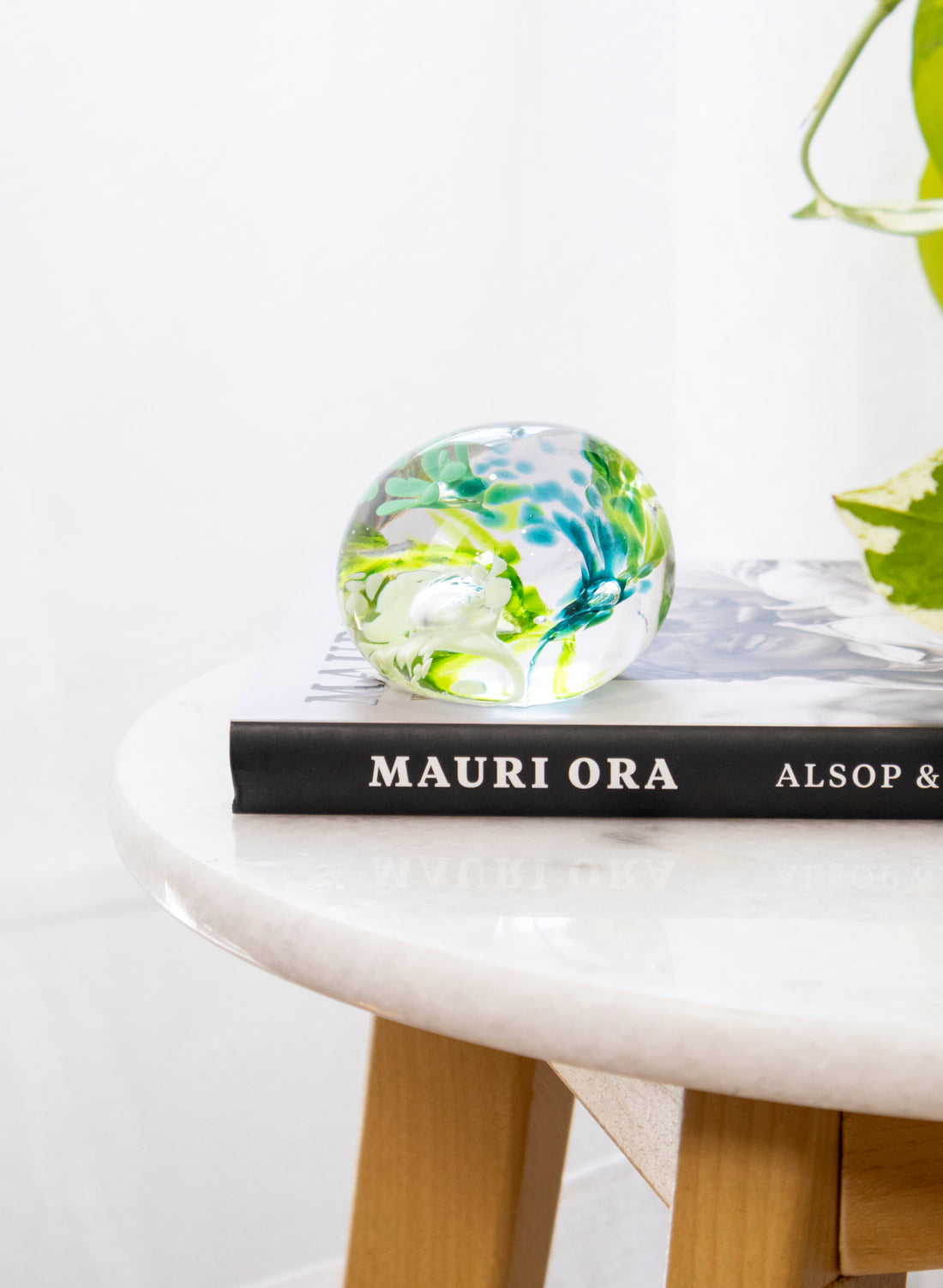 Snow Globes - Paperweight