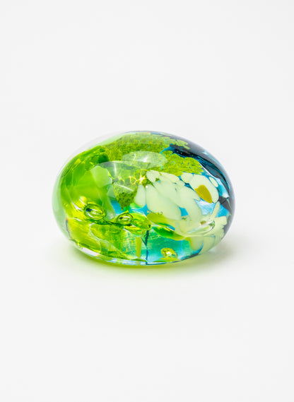 Snow Globes - Paperweight