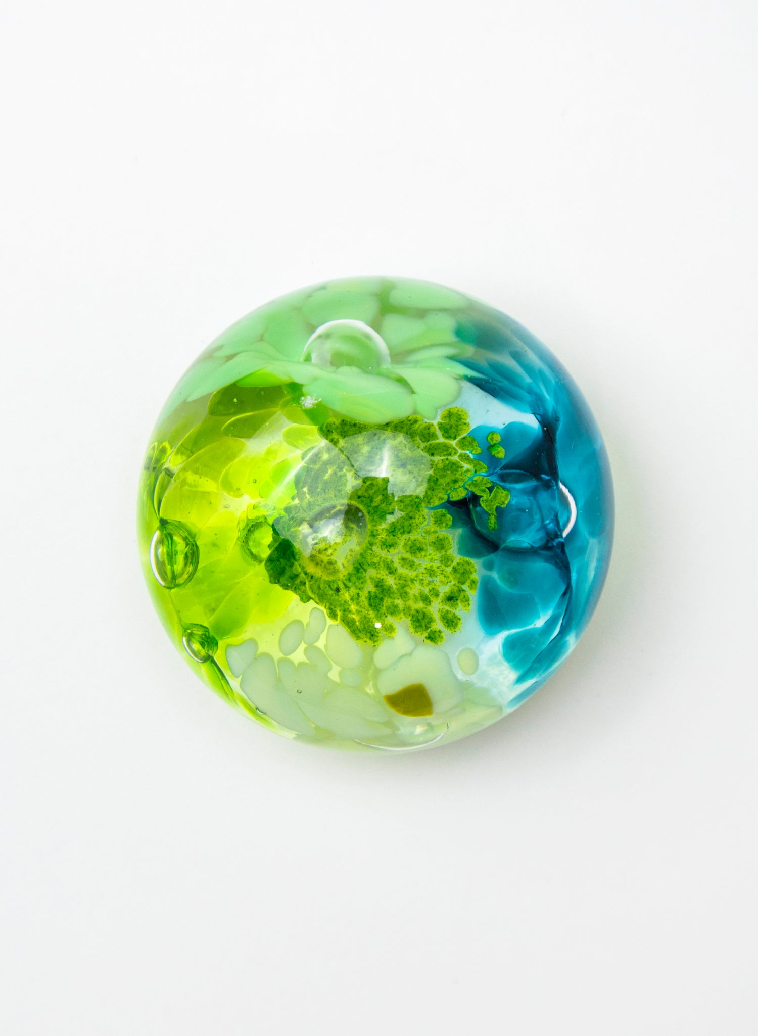 Snow Globes - Paperweight