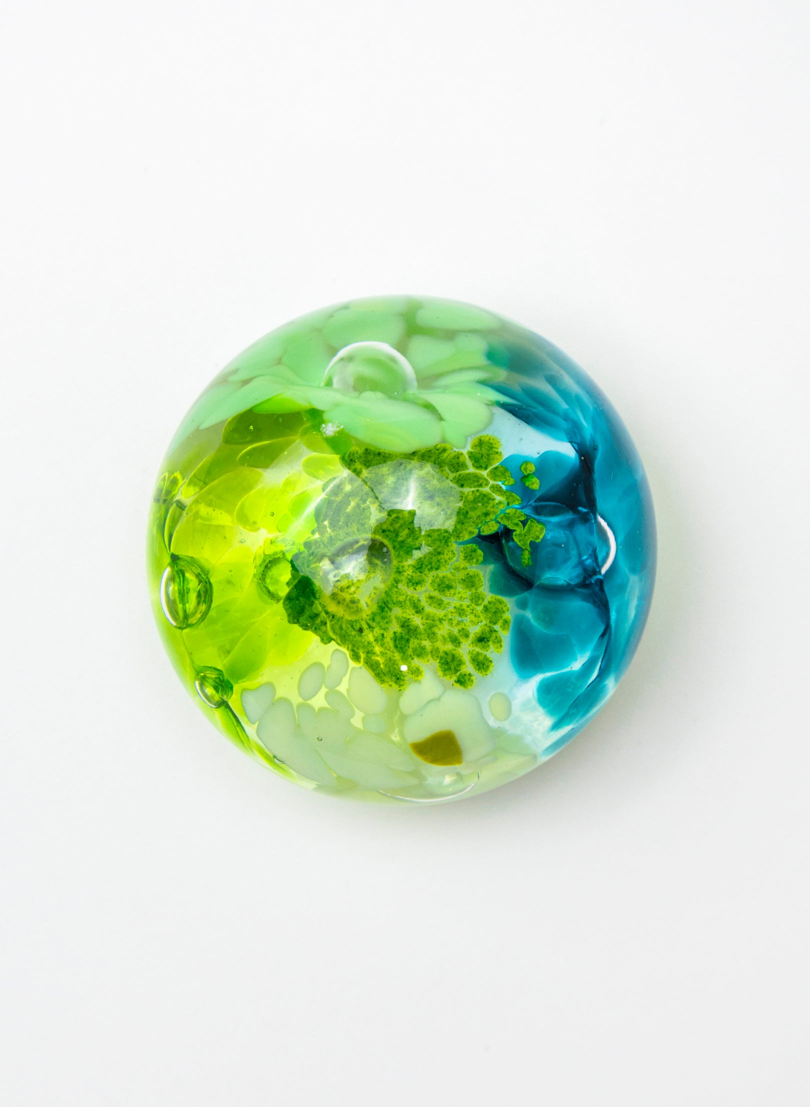Snow Globes - Paperweight
