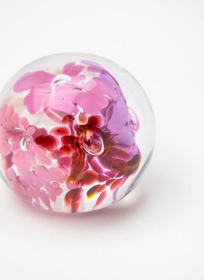 Snow Globes - Paperweight