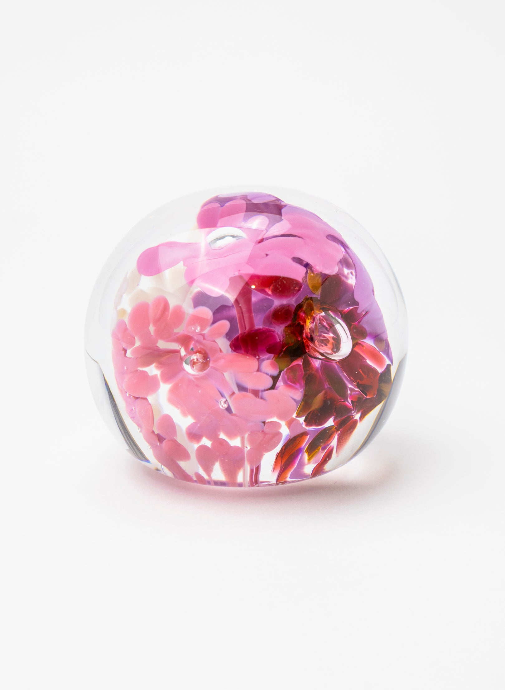 Snow Globes - Paperweight