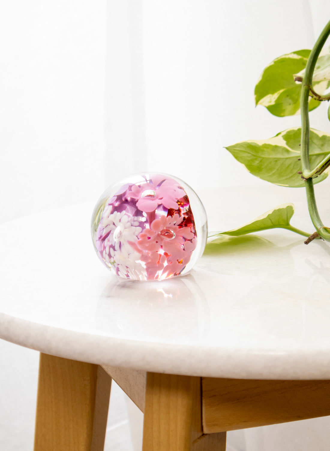 Snow Globes - Paperweight