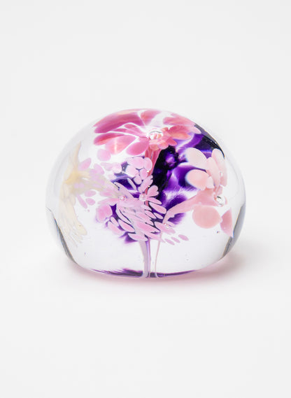 Snow Globes - Paperweight
