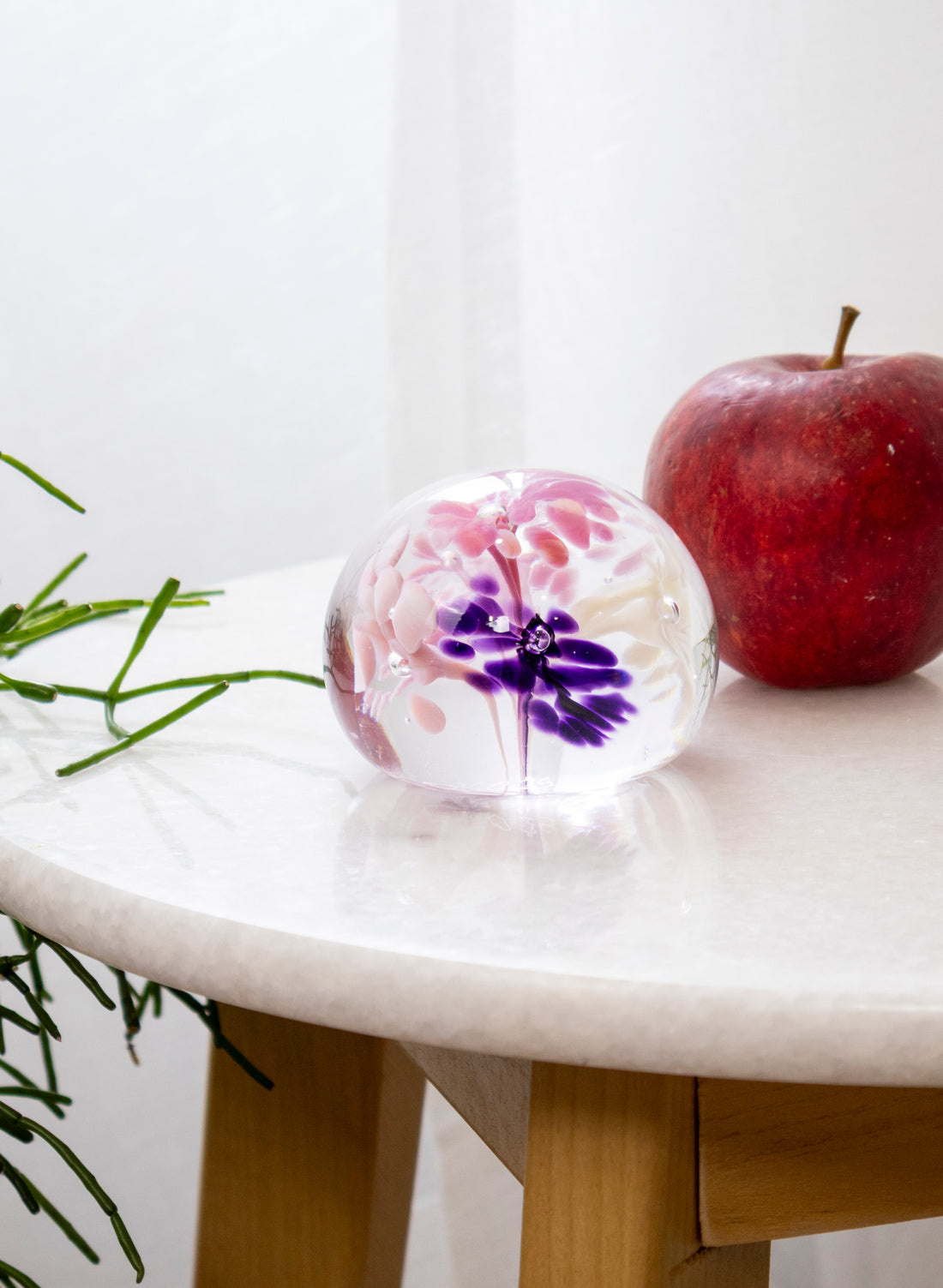 Snow Globes - Paperweight