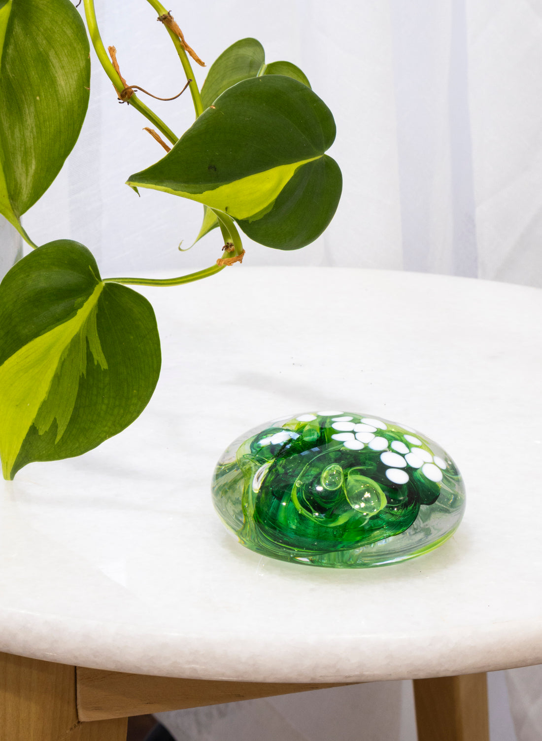 Snow Globes - Paperweight