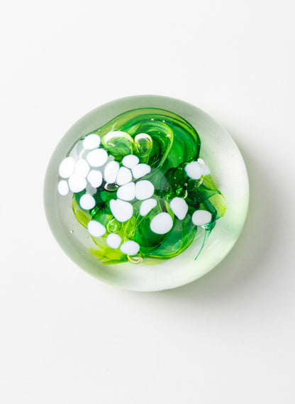 Snow Globes - Paperweight