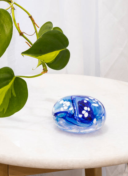 Snow Globes - Paperweight