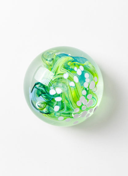 Snow Globes - Paperweight