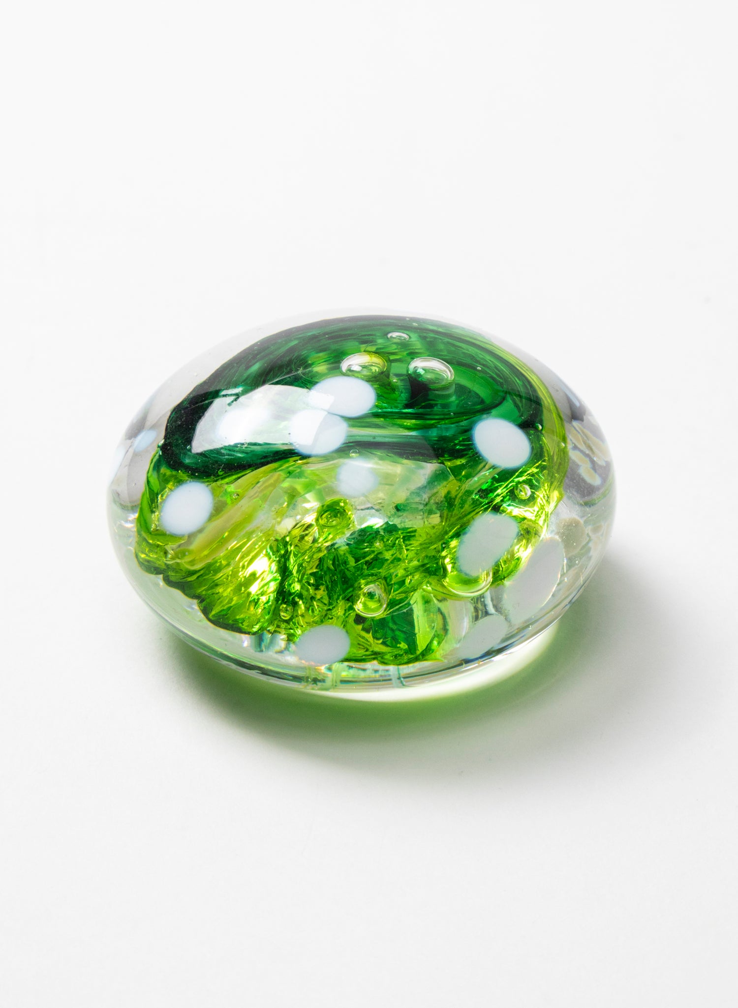 Snow Globes - Paperweight