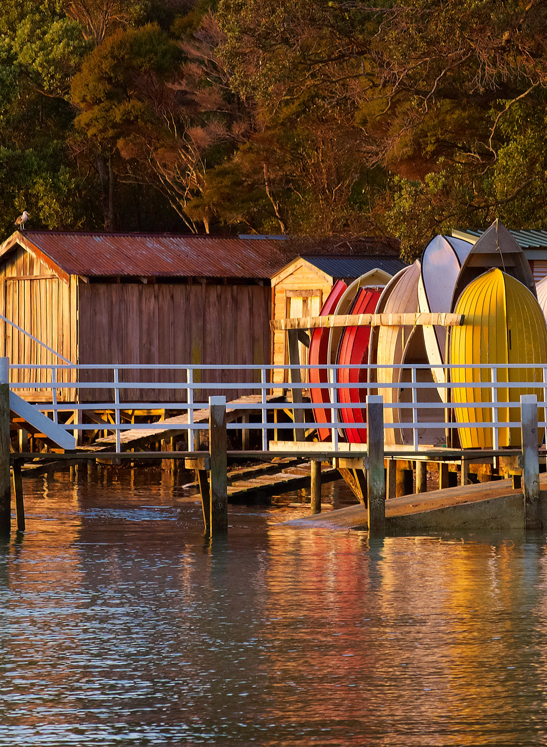 Rocky Bay - Photographic Print