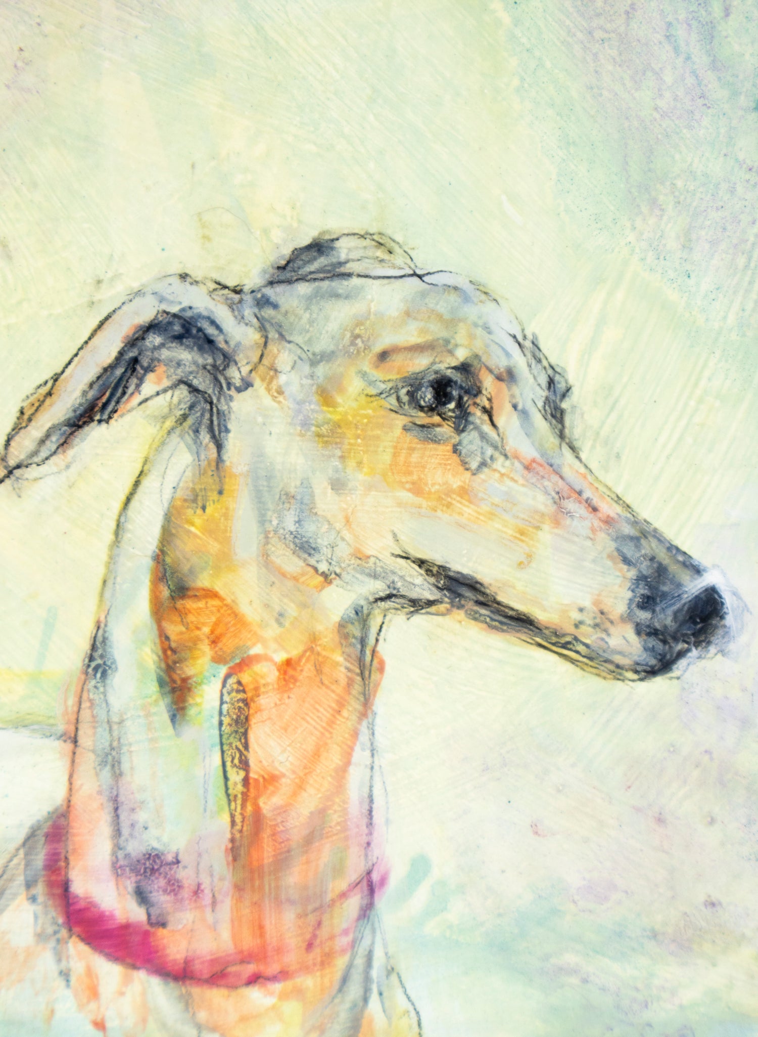 Greyhound - Original Painting