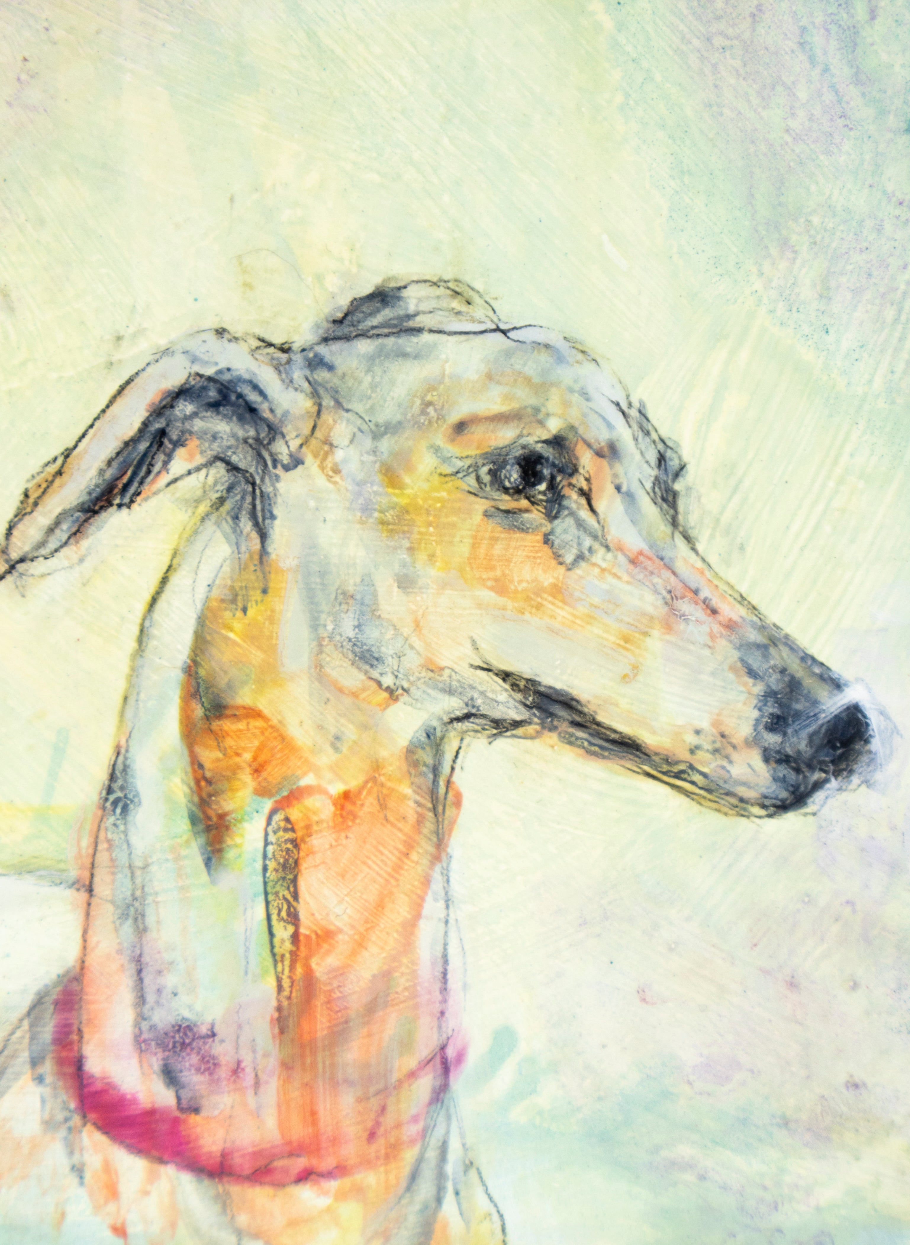 Greyhound - Original Painting